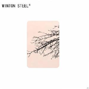 Mirror Stainless Steel Sheet