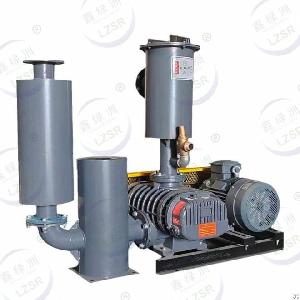 Roots Vacuum Pump