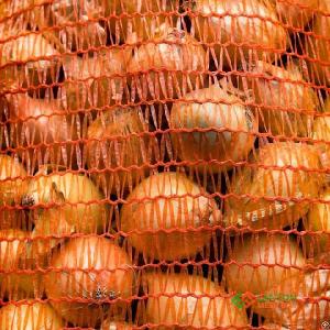 Roll Stock Labeled Mesh Bag, Raschel Bags On Rolls Onion Potato Bag, For Packing Produce