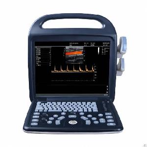 Portable Ultrasonic Diagnostic Devices