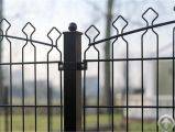 arch wire mesh fence