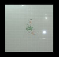 Ceramic Tile Rl-wt-001