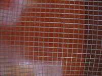 Zinc Coated Welded Wire Mesh For Sale