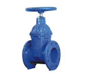 gate valve