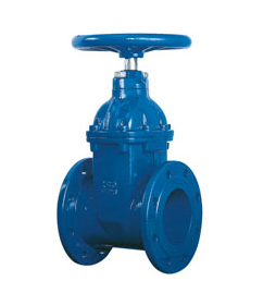 resilient seat gate valve