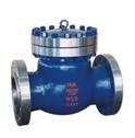 Swing Check Valve