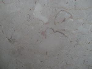 beige marble botticino classico