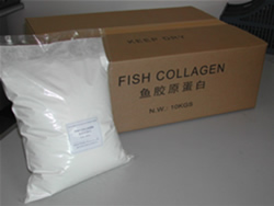 Fish Collagen Peptide