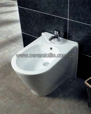 bidet toilet seat aglc 3035