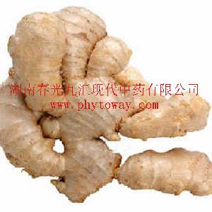 Ginger Extract