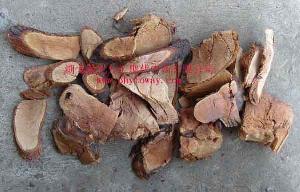 Sutellaria Root Extract