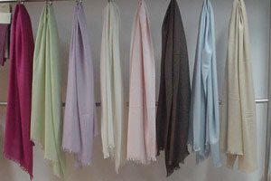 cashmere pashmina