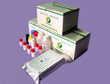 Sulfanethazine Sm2 Elisa Test Kit