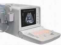 Model Rp6b Human Uses Ultrasound Scanner Portable