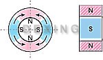 Radially Oriented Ring Magnet