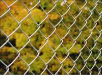 diamond wire mesh