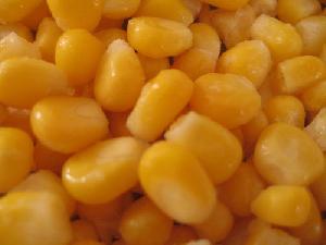 Frozen Sweet Corn Kernel