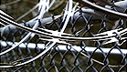 Razor Barbed Wire Fence