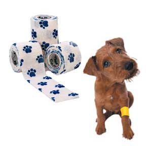 Non-woven Self Adhesive Elastic Bandage For Pet Bandage With Any Cartoon Printing