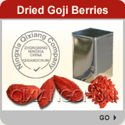 dried goji berries