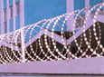 Concertina Wire