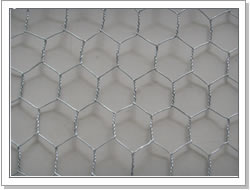 hexagonal wire mesh