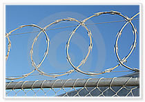 Razor Barbed Wire Mesh Fence