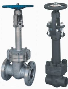 Cast Steel / Forged Steel Cryogenic Gate Valve