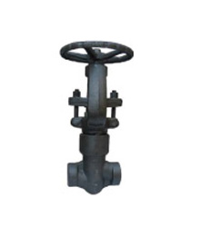 Pressure Seal Globe Valve