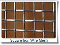 2 x2 mesh electro galvanized square wire