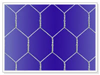 hexagonal wire netting