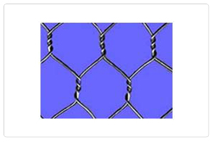 hexagonal wire netting