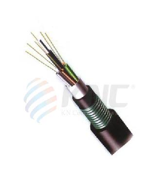 Double Steel Armored Fiber Optic Cable