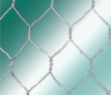 hexagonal wire mesh