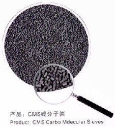 carbon molecular sieve