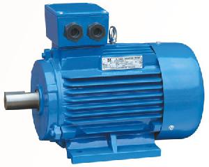 y2 induction electric motor