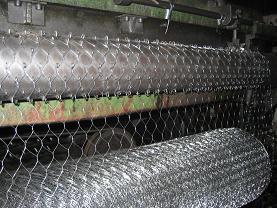 hexagonal wire netting