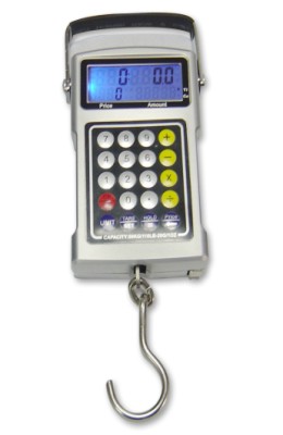 Selling Electronic Portable Price Computing Hook Scale, 50kg / 20g