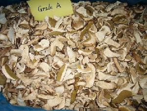 Boletus Edulis Whole And Cube And Slice