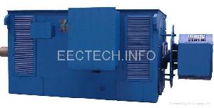 High Voltage Slipring Wound Rotor Motor