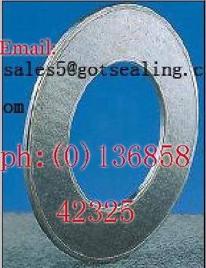 Reinforced Graphite Gasket