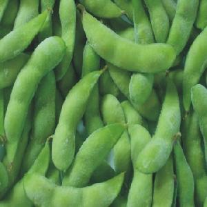 frozen soybean