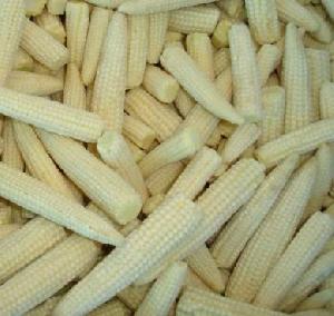 Iqf Baby Corn