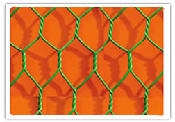 hexagonal wire netting