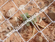 Supply Chain Link Fence