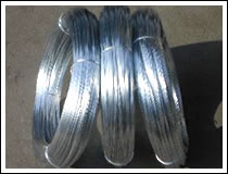 Electro Galvanized Wire