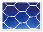 hexagonal wire netting