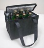 Cooler Bag