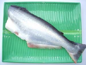 pangasius hypophthalmus basa cut head tail