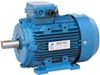 Ms Series Three Phase Motor